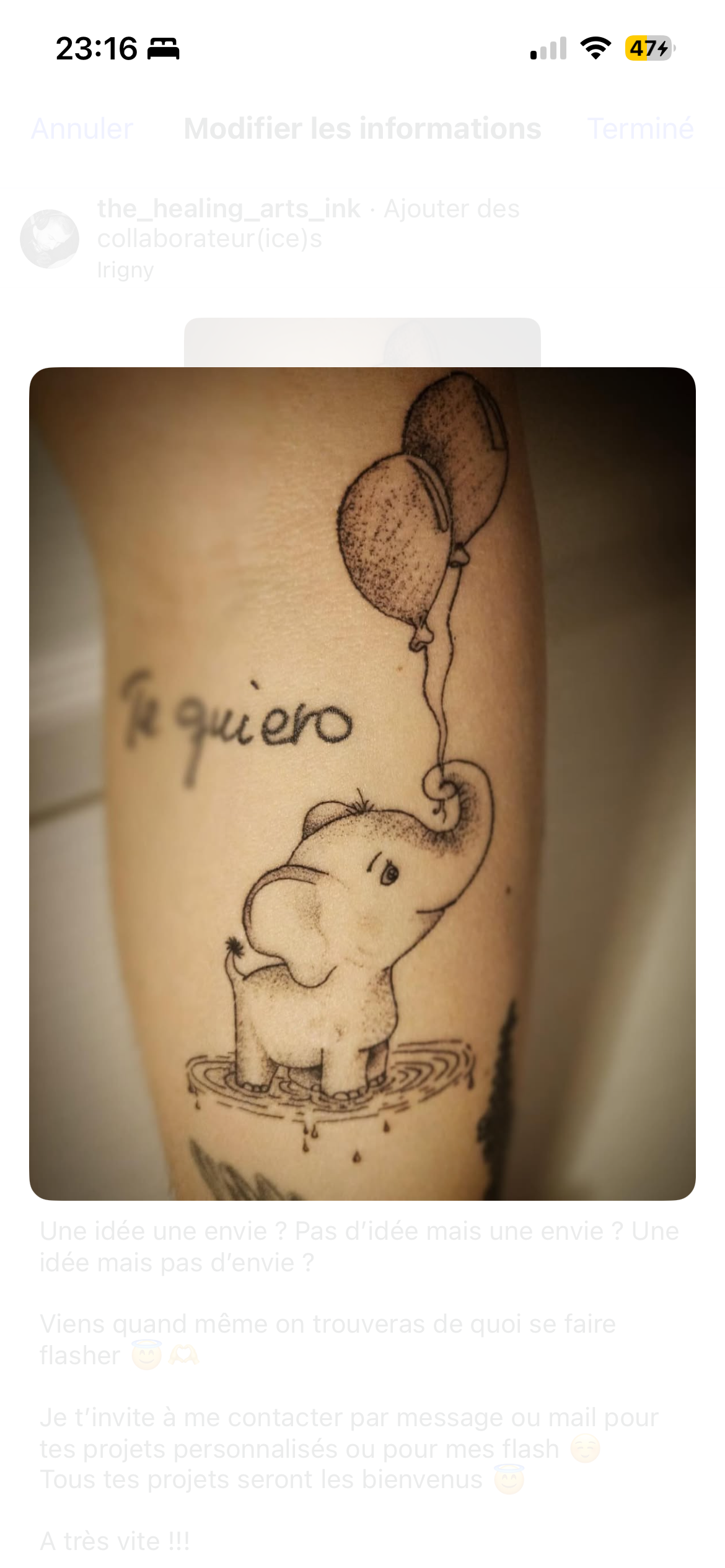 Tatouage L'Encre du Lyon