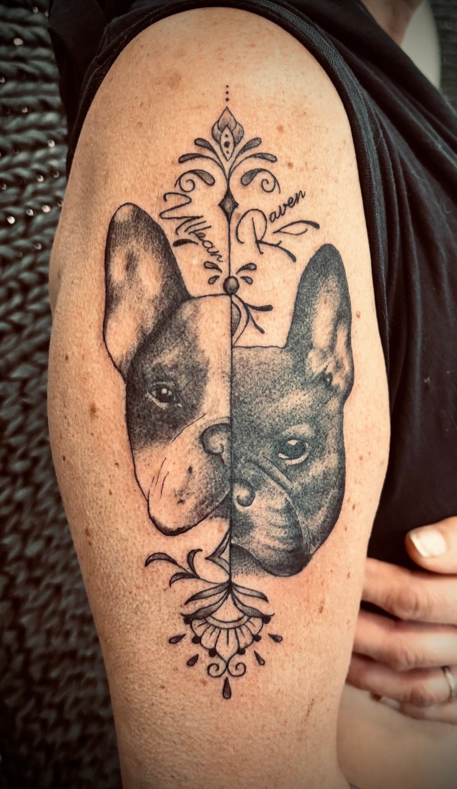 Tatouage L'Encre du Lyon