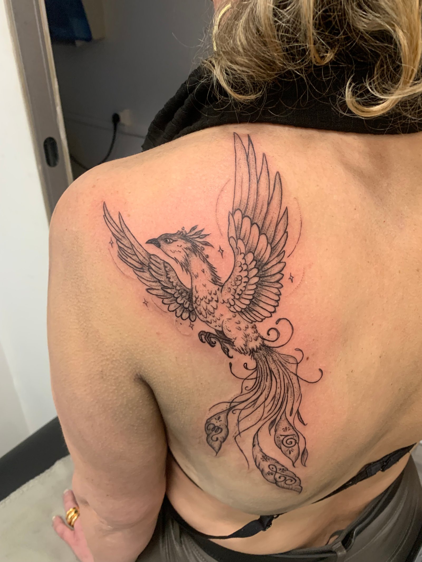 Tatouage L'Encre du Lyon