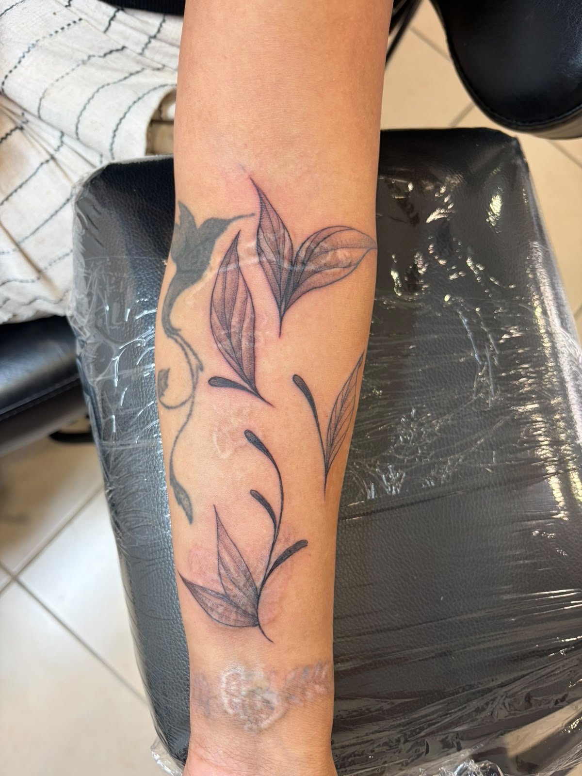 Tatouage L'Encre du Lyon